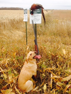 Another successful pheasant hunt in Western Township.