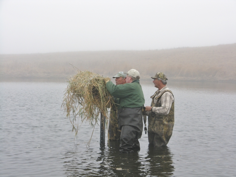 Club members installing a new hen house. The FFFGC currently maintains 15-20 hen houses on our club properties.