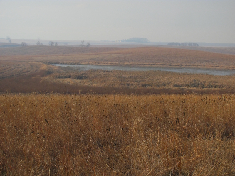 Nordby_completed_plug_one_year_after_gallery