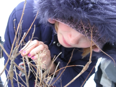 So_I_poked_it1_400x300